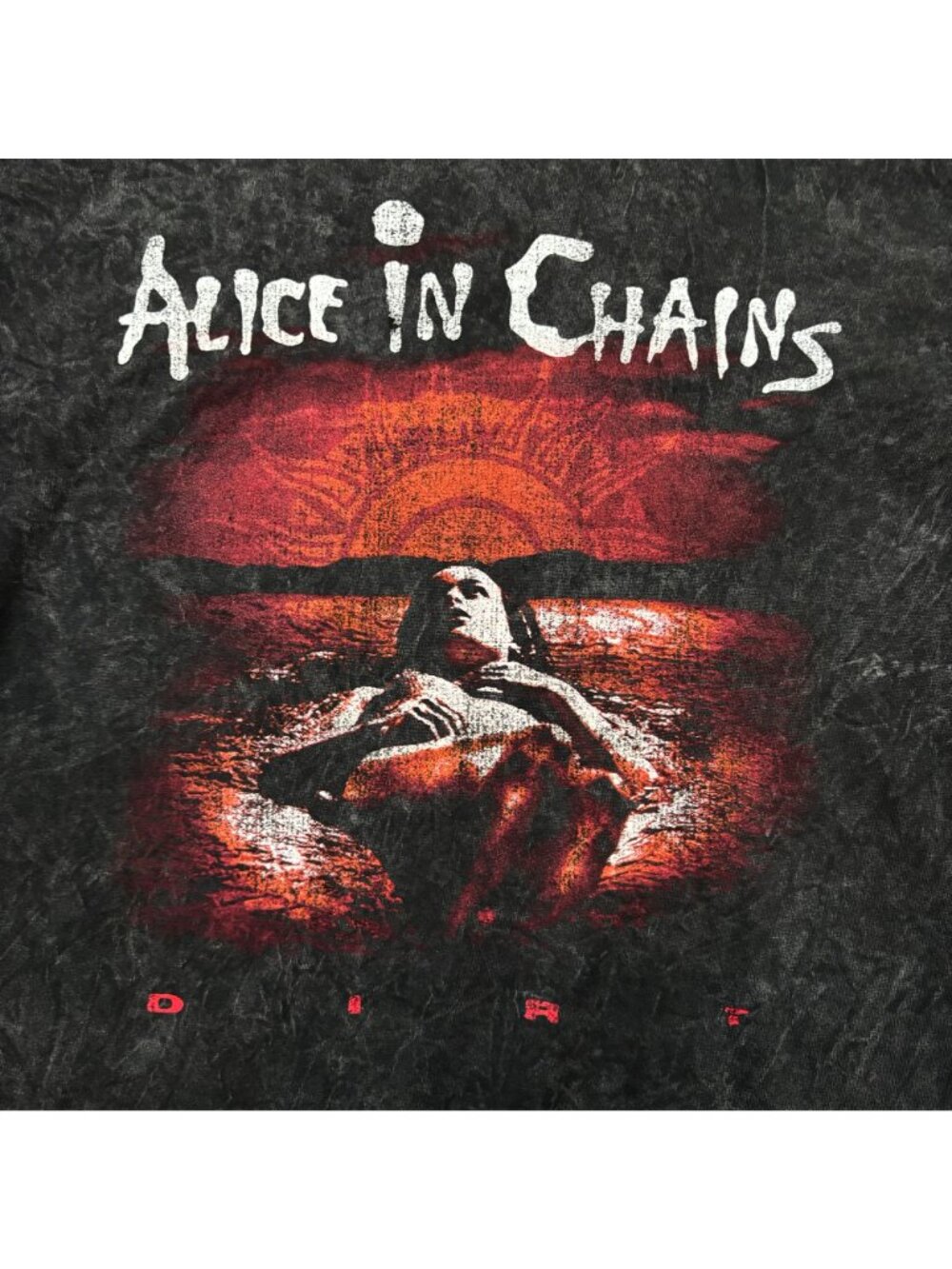 Alice In Chains Dirt Rock Mineral Wash T-Shirt Size Large - Picture 2 of 4